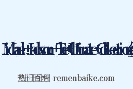Michael+Jackson:+The+Ultimate+Collection组词是什么意思的图片